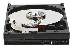 ������� ���� Western Digital WD2500BB