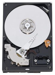 ������� ���� Western Digital Caviar Blue 500 ��