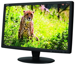 Монитор NEC MultiSync V221W Монитор NEC MultiSync V221W