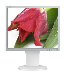 ������� NEC MultiSync EA191M