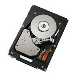 Жесткий диск IBM 44X2450 Жесткий диск IBM 44X2450