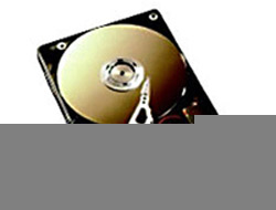 ������� ���� Fujitsu-Siemens FSC HDD SATA 3Gb/s 250GB 7.2k non hot plug 3.5" (TX100S1)