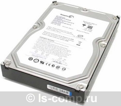 ������� ���� Seagate ST3500312CS ���� #1
