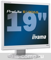 ������� Iiyama ProLite B1906S-B1 PLB1906S-B1 ���� #1