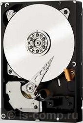 ������� ���� Western Digital WD2000F9YZ ���� #1