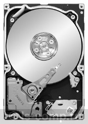 ������� ���� Seagate ST91000640SS ���� #1
