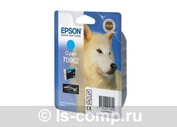 �������� �������� Epson C13T09624010 ������� ���� #1