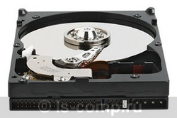 ������� ���� Western Digital WD2500BB ���� #1