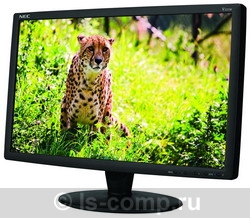 ������� NEC MultiSync V221W LCDV221W-BK ���� #1
