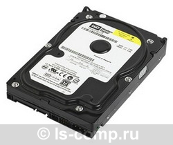 ������� ���� Western Digital WD800AAJS ���� #1