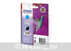 �������� �������� Epson C13T08054011 ������-������� ���� #1