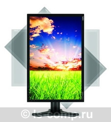 ������� NEC MultiSync P221W Black P221W BK/BK ���� #1