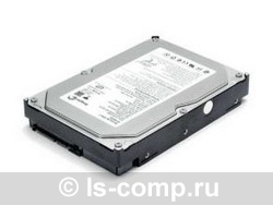 ������� ���� Seagate ST380013AS ���� #1