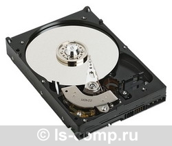 ������� ���� Western Digital Caviar Blue 160 �� WD1600AAJS ���� #1