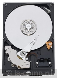 ������� ���� Western Digital Caviar Blue 500 �� WD5000AAKS ���� #1