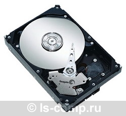 ������� ���� Seagate ST310005N1D1AS ���� #1