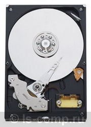 ������� ���� Western Digital Caviar Blue 320 �� WD3200AAJB ���� #1