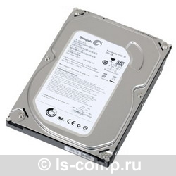 ������� ���� Seagate ST250DM000 ���� #1