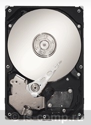 ������� ���� Seagate ST31000525SV ���� #1