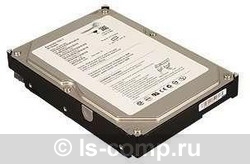 ������� ���� Fujitsu S26361-F3601-L100 ���� #1