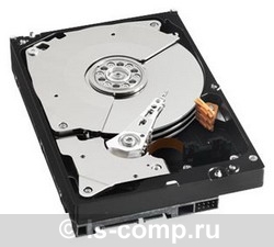������� ���� Western Digital Caviar Black 1 �� WD1002FAEX ���� #1