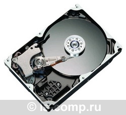 ������� ���� Seagate STM3160813AS ���� #1