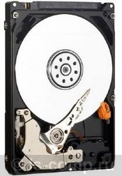 ������� ���� Western Digital Caviar Blue 250 �� WD2500BUCT ���� #1