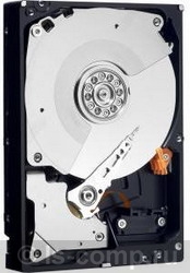 ������� ���� Western Digital WD4000FYYZ ���� #1