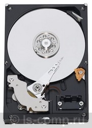 ������� ���� Western Digital Caviar Blue 1 �� WD10EALS ���� #1