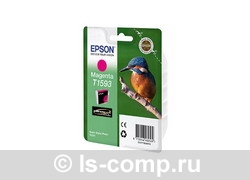 �������� �������� Epson C13T15934010 ��������� ���� #1